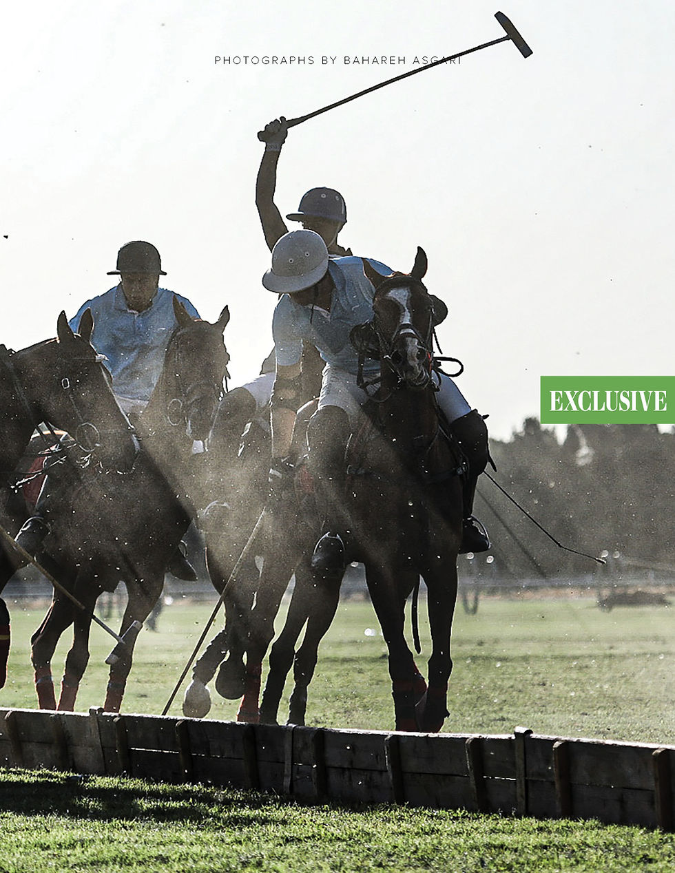 Thumbnail: Polo Lifestyles: June 2021 Hold Your Horses!
