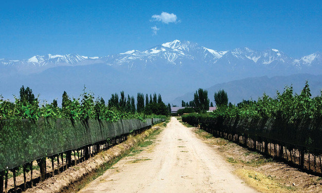 Argentine Wine: Best Paris with Tango, Tapas, Borges, and Polo