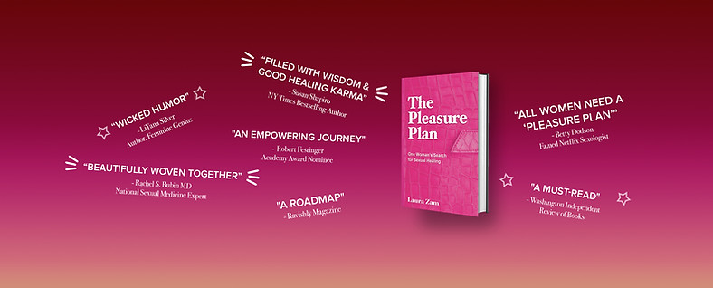 Laura Zam book cover 9-25-24.jpg