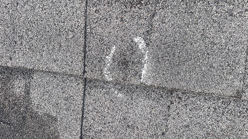 Hail Damage to Roof