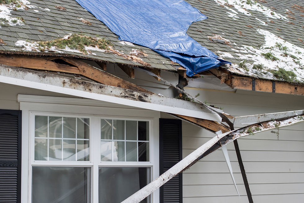Winter Storm Damage