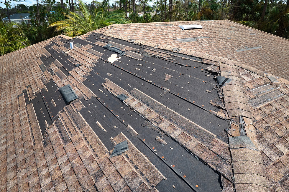 Wind Damaged Roof