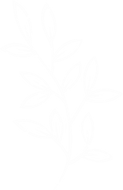 Floral-Element-white-left.png