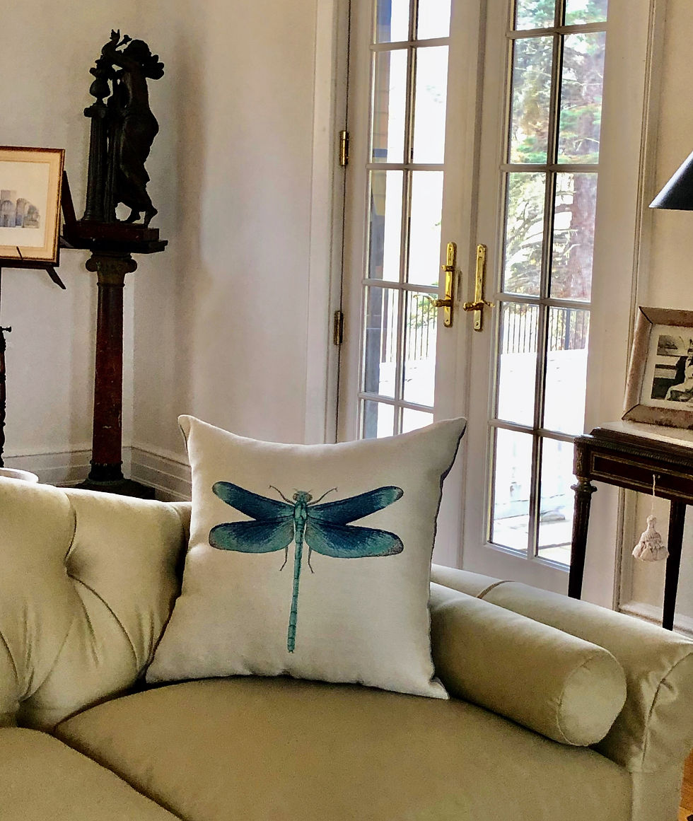 Thumbnail: THE DRAGONFLY