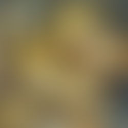 Natale, tempo di Luce e di Speranza