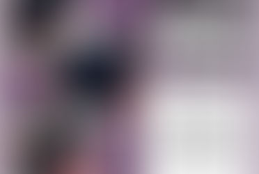 Griffin: The Cat Who Plays by His Own Rules!