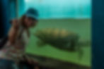 Aquário Projeto Tamar.