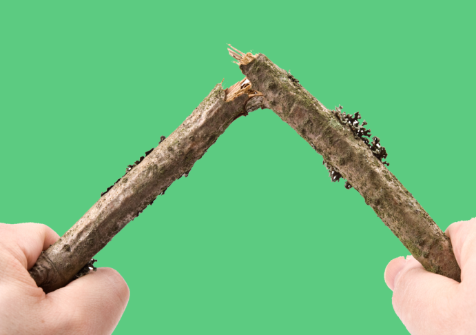 ree