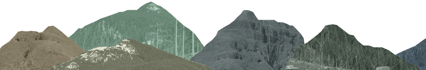 issue-1_sidebar_edited_edited.png
