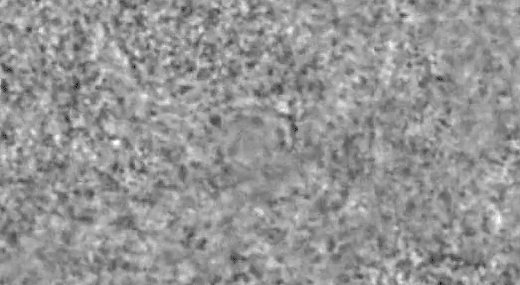 130.gif