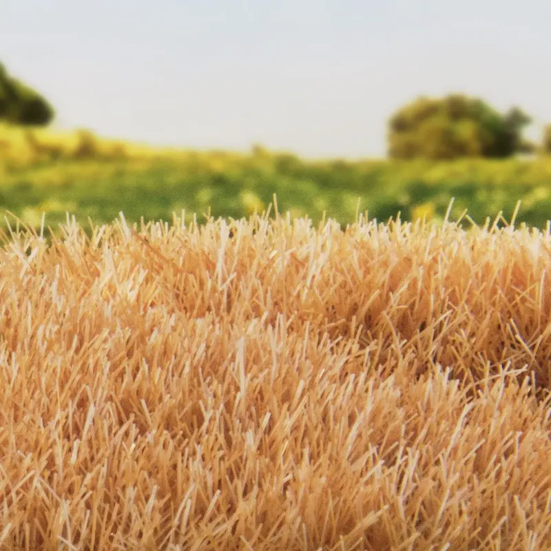 Miniatura: FS624-7mm