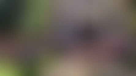 Paróquia de Guarani das Missões realiza peregrinação jubilar ao Santuário do Caaró