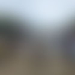 Ipê acolhe mais de 4 mil romeiros na 46ª Romaria da Terra