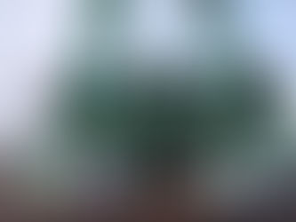 Paróquia de Santo Antônio das Missões celebra seu padroeiro