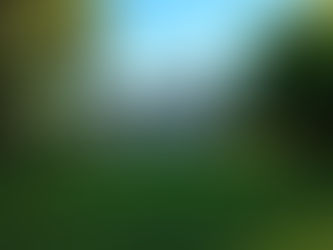 Vem aí 33ª Romaria em honra a São João de Castilho