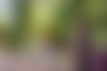 Celebração ecumênica reforça o internacionalismo e a luta por rios livres