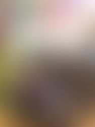 Movimento de Emaús realiza MaraLive de São João