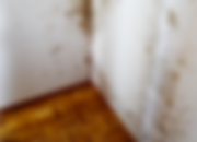 Analyse de dégats : Immeuble de logements à Chavornay