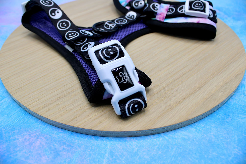 Thumbnail: Totally Tie Dye Harness