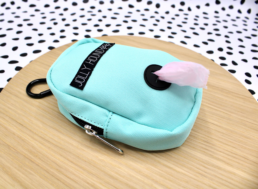 Thumbnail: Treat Bag
