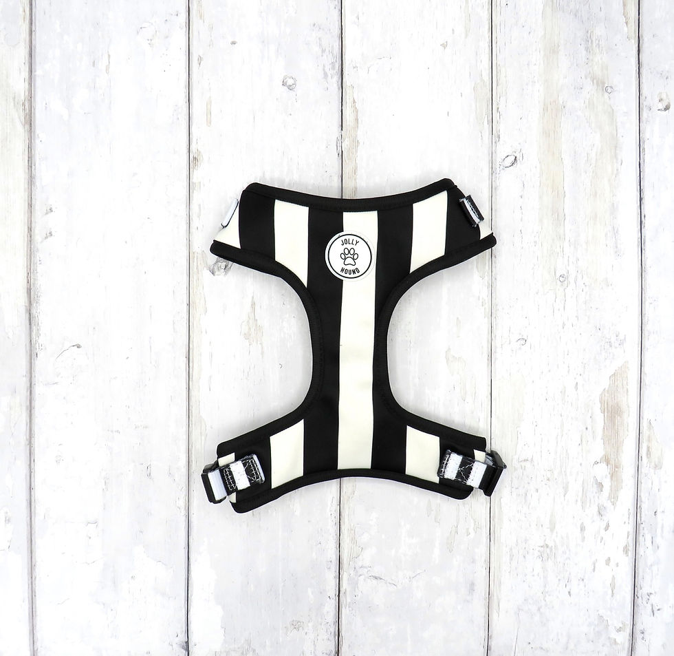 Thumbnail: Humbug Adjustable Harness