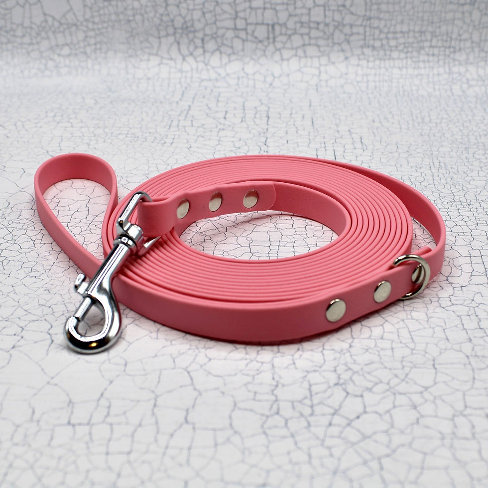 Thumbnail: BioThane Longline Training Lead