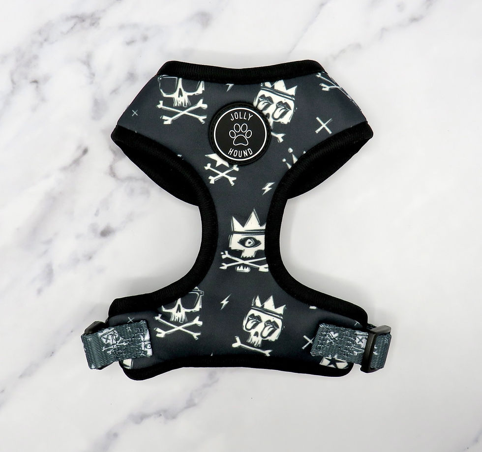 Thumbnail: Rock & Skull Harness