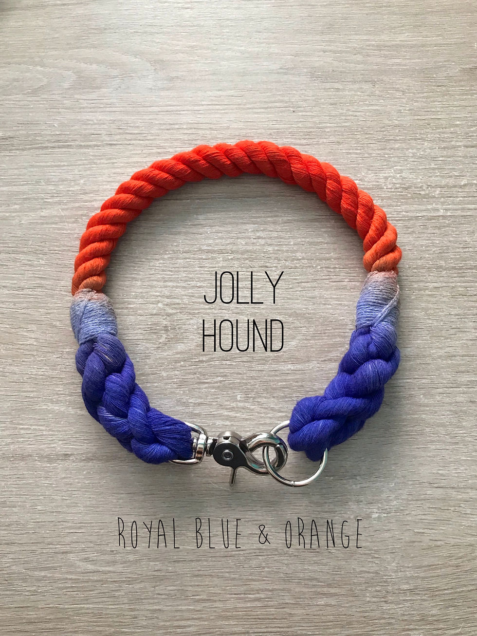 Thumbnail: Ombré Rope Collar