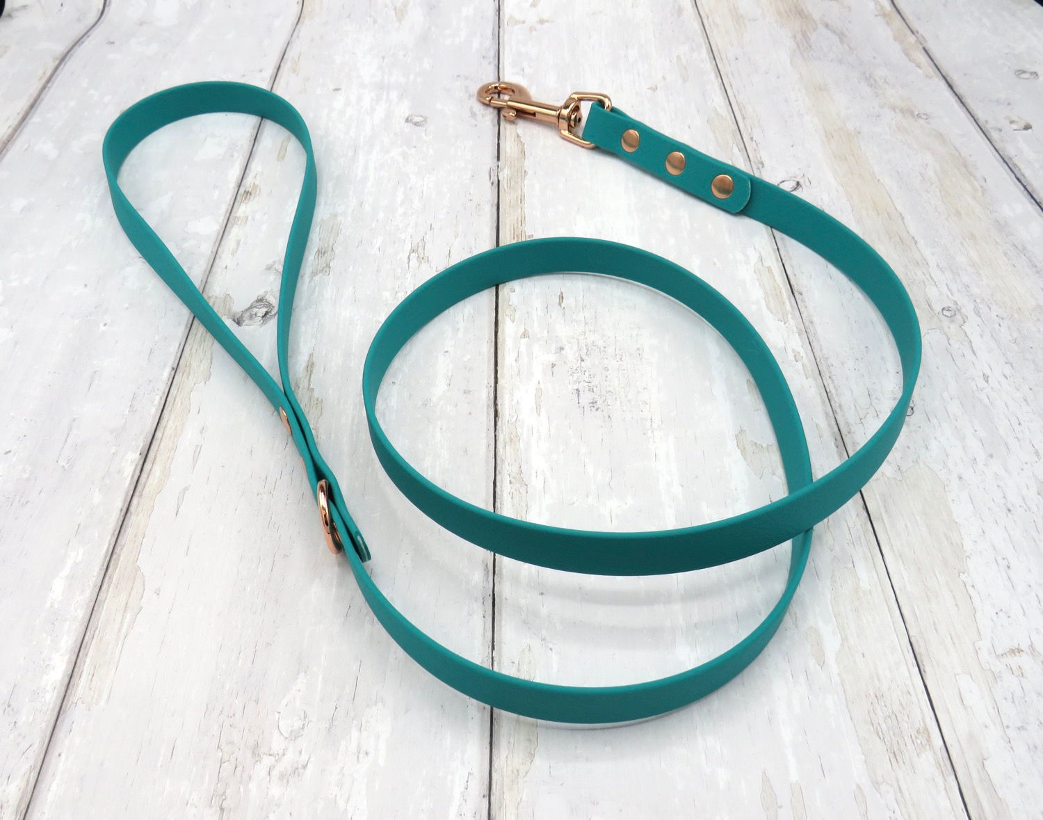 1"/25mm BioThane Leash