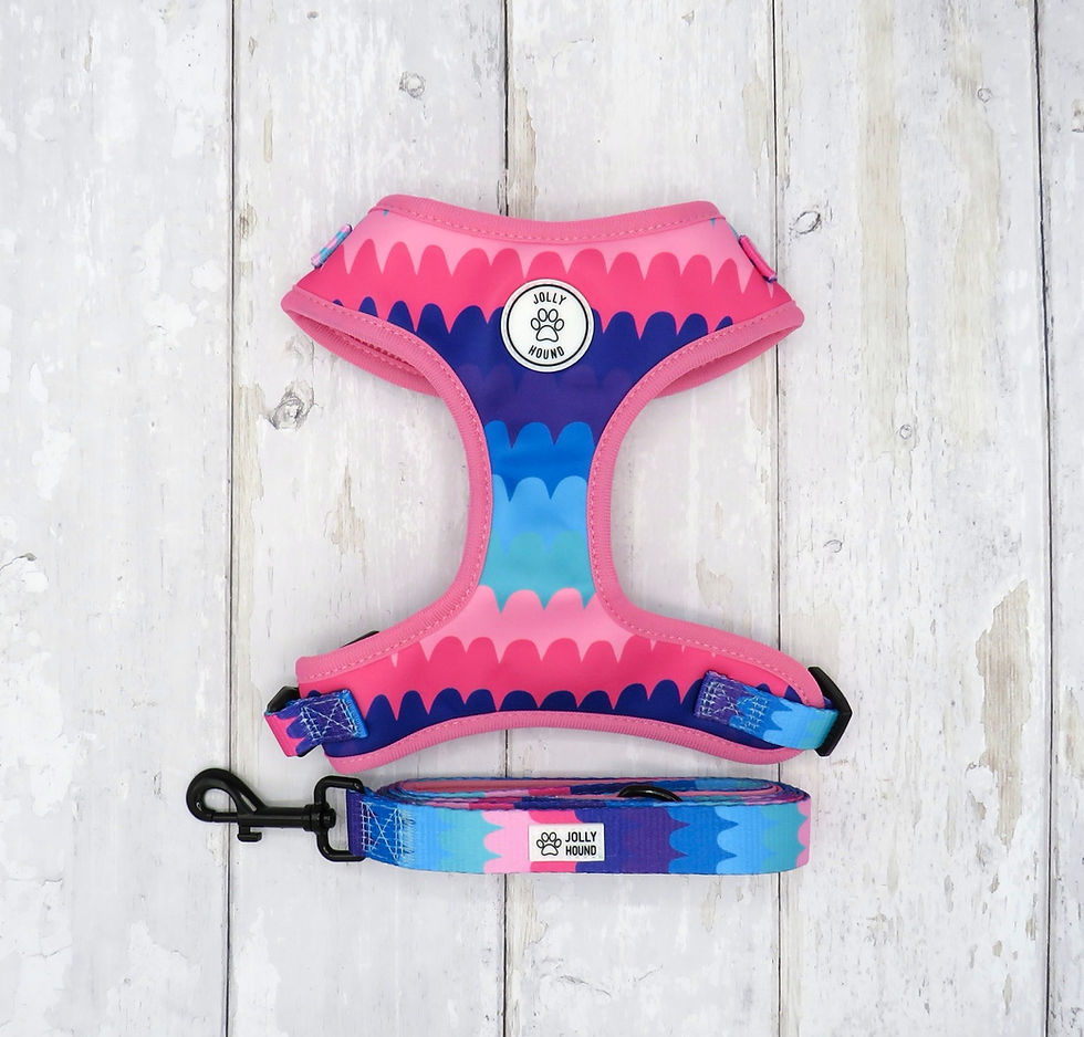 Thumbnail: Pink Piñata Adjustable Harness