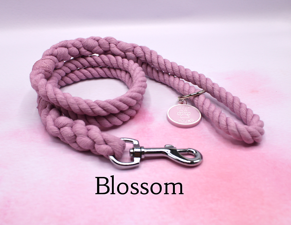 Thumbnail: 12mm Pastel Solid Colour Rope lead