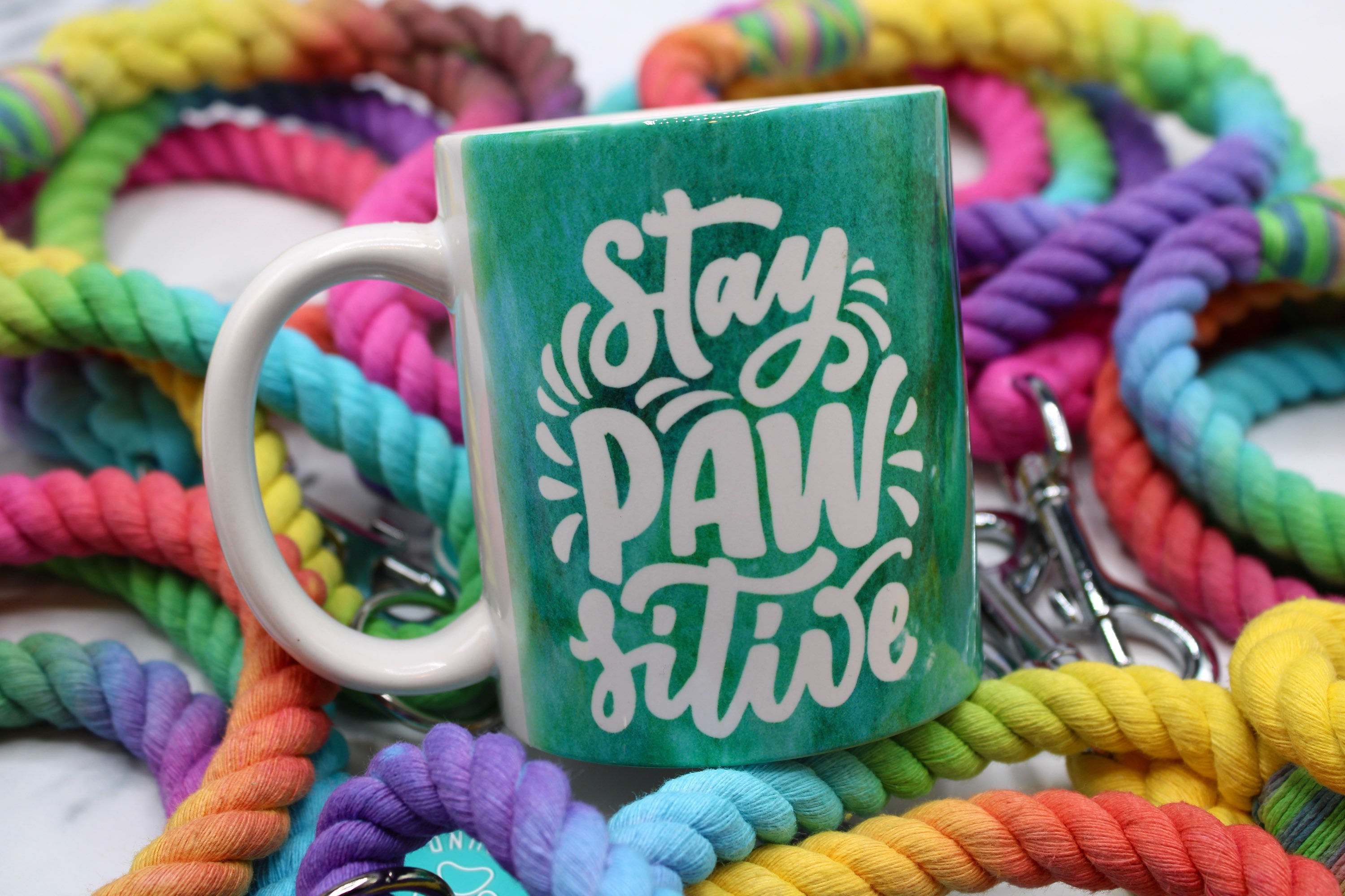 Stay Pawsitive Mug 12oz