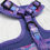 Thumbnail: Purple Wave Adjustable Harness