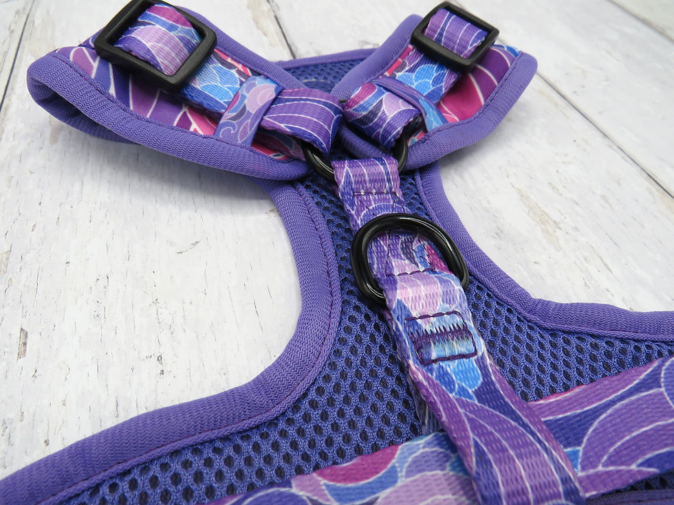 Thumbnail: Purple Wave Adjustable Harness
