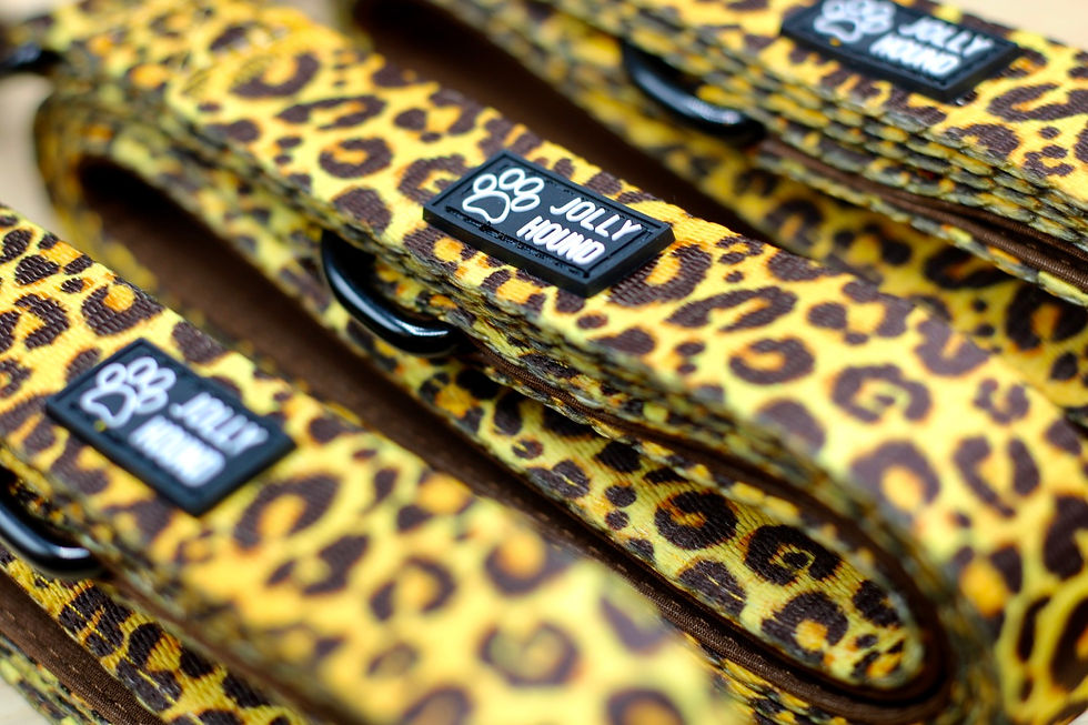 Thumbnail: Golden Leopard Lead