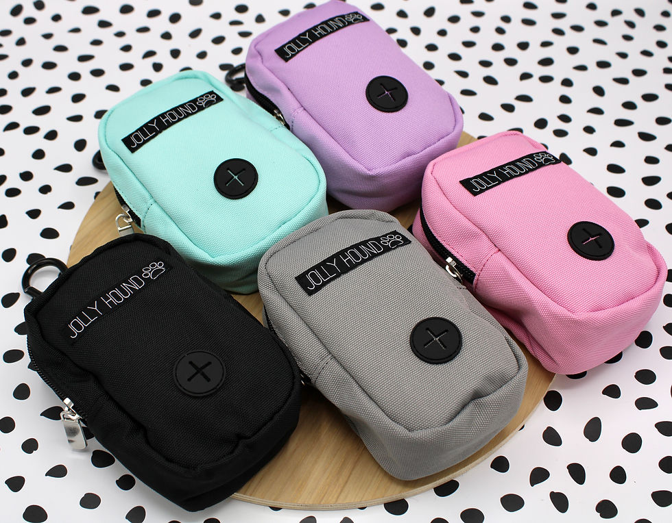 Thumbnail: Treat Bag
