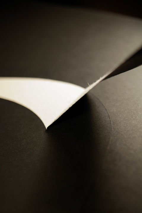 Art Prints, Gallery Standard, Berlin Artist, Ellwood Art, Scalpel Art, Scalpel Artist, Art For Sale, Daniel Ellwood