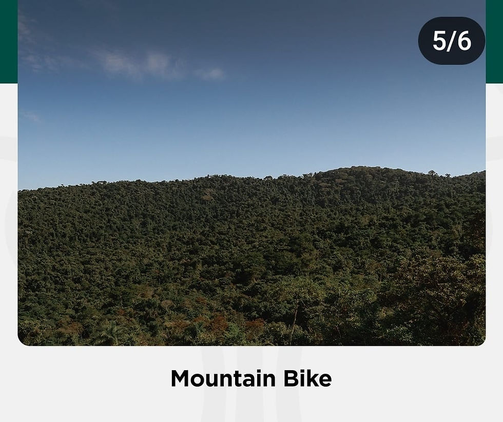 WhatsApp Image 2025-02-14 at 13.43.10