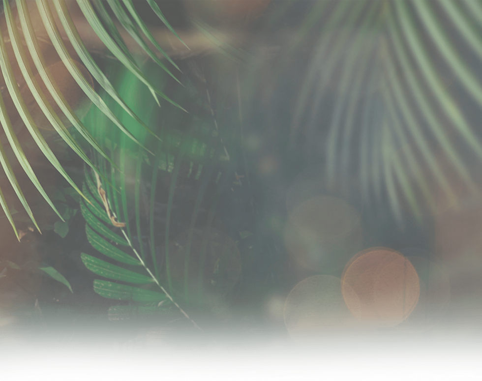 Natureza Condomínio Terra Madre