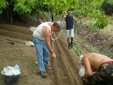 Gartenprojekt 2010