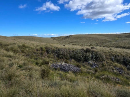 Critical Resources latches onto soaring tungsten prices to drive NZ exploration push