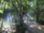 Belleza Natural Tulum Nueve