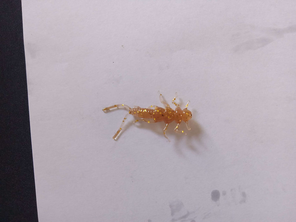 6 pack copper fireflies 