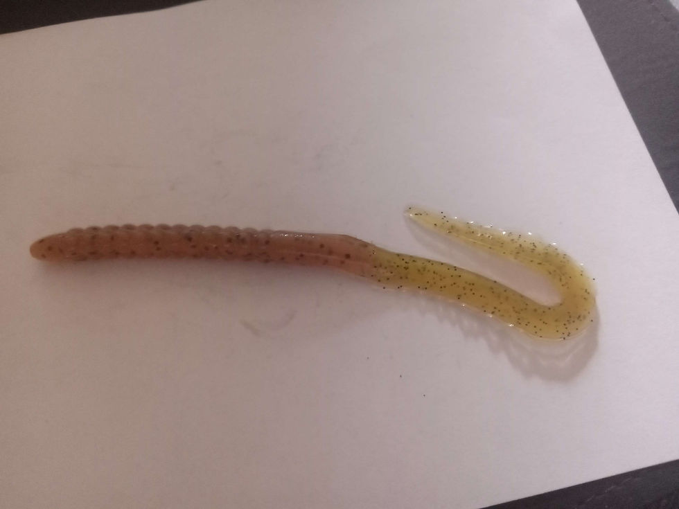 10 pack brown with black specks and yellow tails worms 