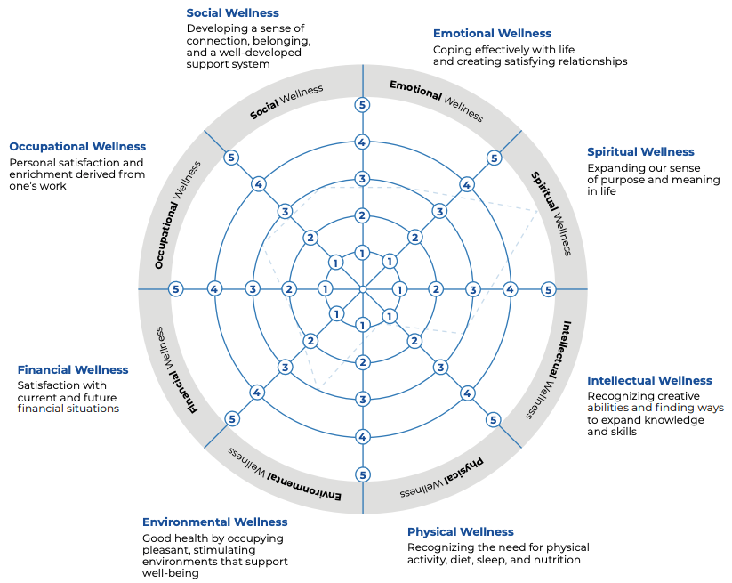 Wellness Wheel Worksheet