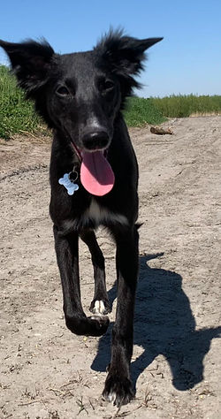 SchermÂafbeelding 2024-09-11 om 21.36_ed