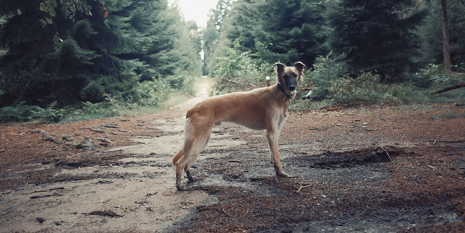 PHOTO-2024-07-29-00-00-50 4.jpg