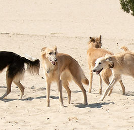 De eerste nieuwsbrief