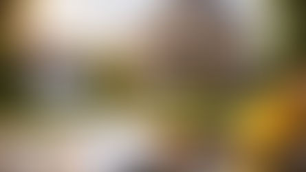 Chicago investment property prepared for sale with renovated brick home, landscaped yard, and real estate tools representing property value improvement before selling.