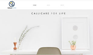 IMAGE_WIX Callicare Pricing Web Service.